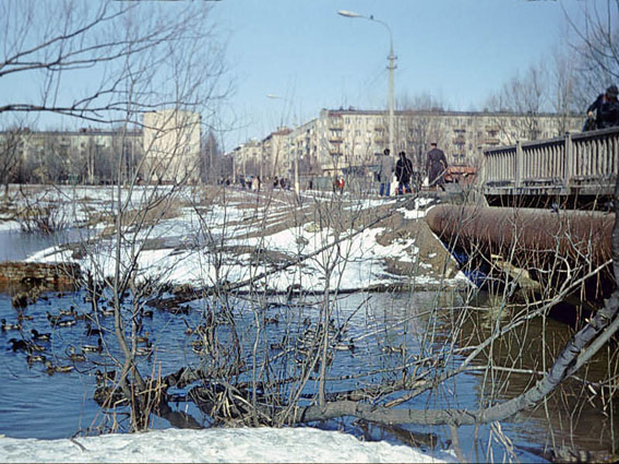 Мытищи, Яуза, 1981 г.